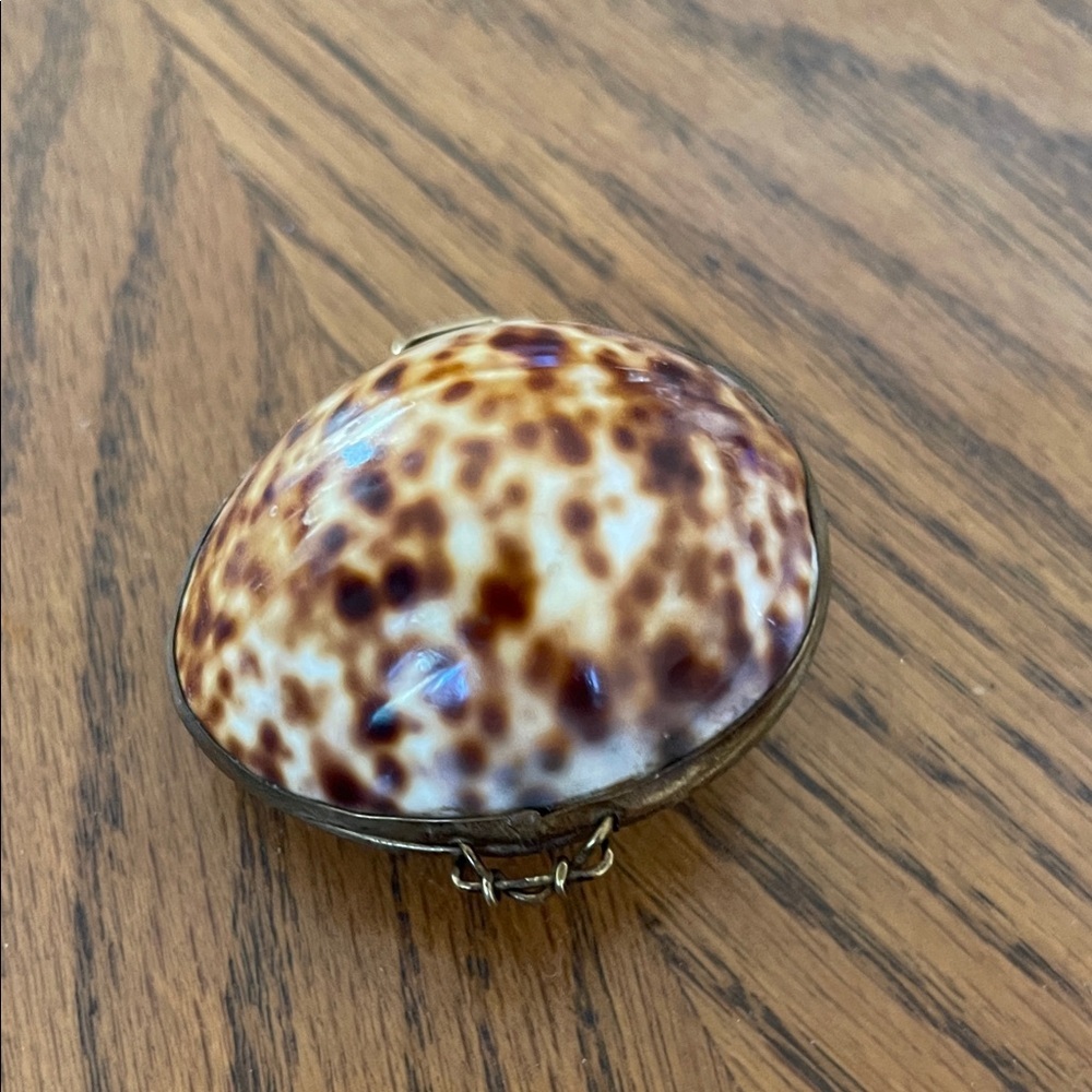 Polished Speckled Shell Trinket Box